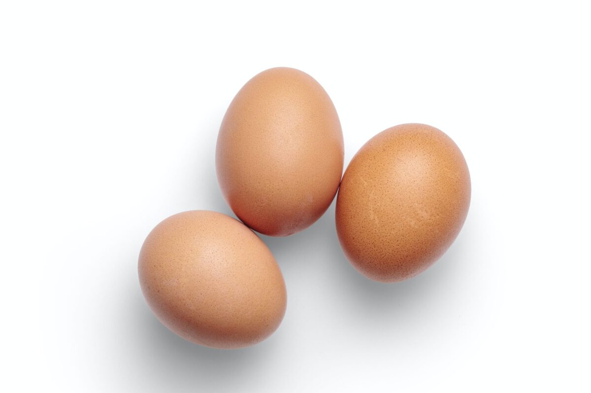 HO yellow york Eggs