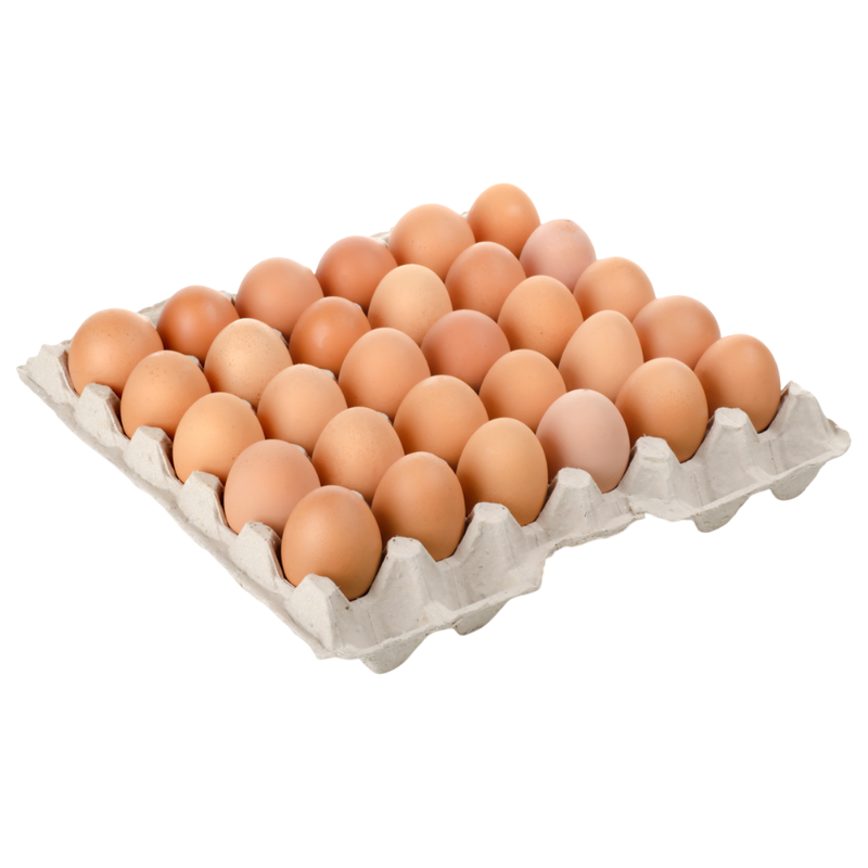 HO Eggs Crate