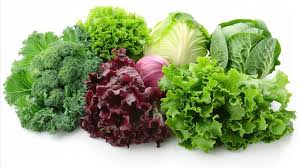 Fresh Food